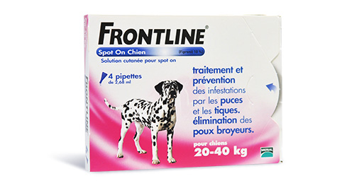 FRONTLINE