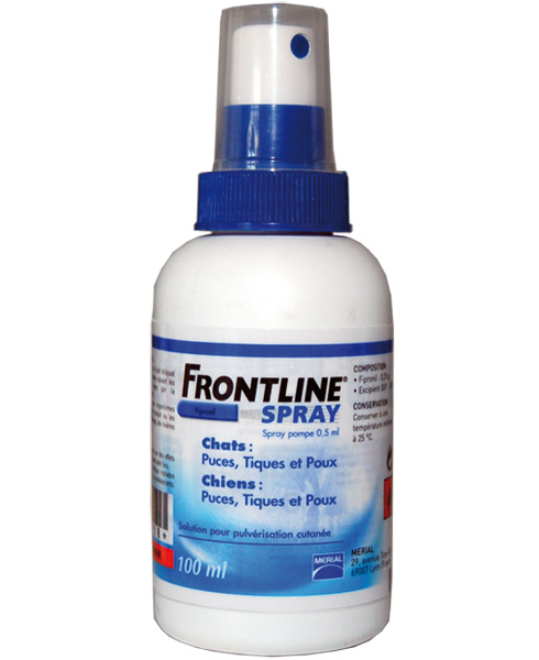 FRONTLINE